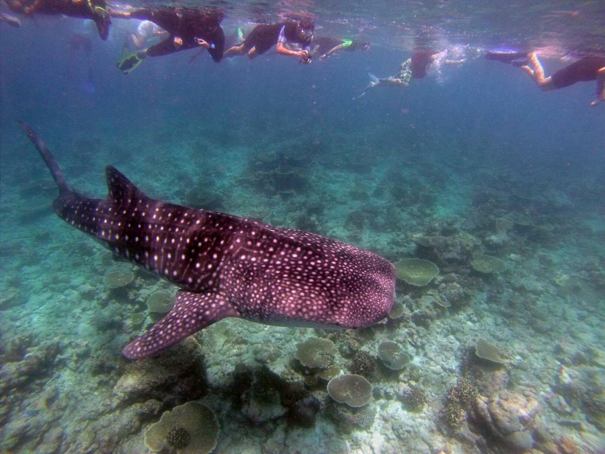 Atollkey Hotel Dhigurah  Eksteriør billede